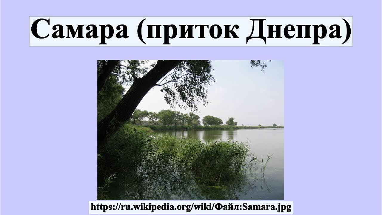Лев приток днепра сканворд. Лев приток днепра сканворд. Лев приток днепра сканворд. Лев приток днепра сканворд. Лев приток днепра сканворд.