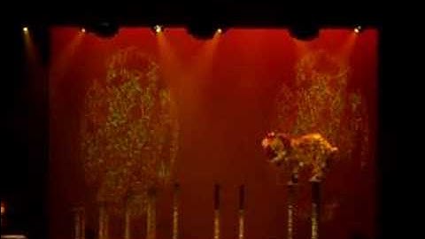 John Dickson-Lighting- LD Systems Montessori Event