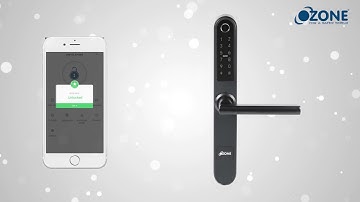 Narrow Style Fingerprint Lock with 5 in 1 Access – Black Finish | Ozone Secutech - OZ-FDL-33 BL STD