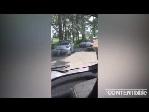 Cheeky monkey steals our windscreen wiper | CONTENTbible