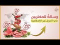 اللحم الحلال عبدالله رشدي  