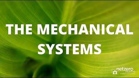 The Mechanical System