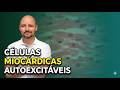 CÉLULAS MIOCÁRDICAS AUTOEXCITÁVEIS: DESPOLARIZAÇÃO e REPOLARIZAÇÃO.