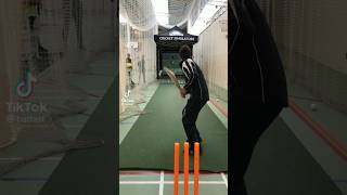 cricket simulator  a#trending #shorts screenshot 5
