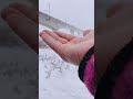 ひとひらの雪、手のひらの上で一瞬のうちに消えていく...その儚さよ。 #shorts