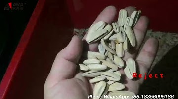 AMD Color Sorter Machine for Pure White Peeled Sunflower Seeds Sorting and Separating