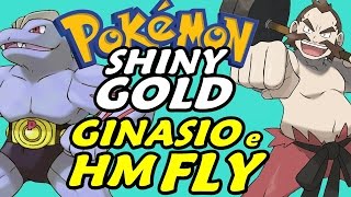 Pokémon Shiny Gold (Detonado - Parte 10) - Ginásio, HM Fly e Remédio
