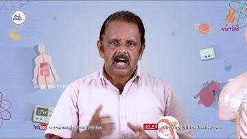 First Bell 2.0 STD 07 Basic Science Class 24