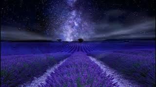 Once In A Lifetime - Gregorian (w/ Lyrics)