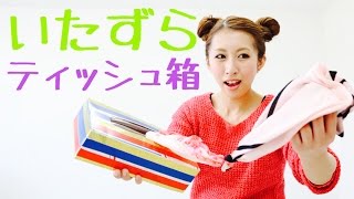 【知育】興味を引きだし育てよう。簡単・楽しい手作りおもちゃ