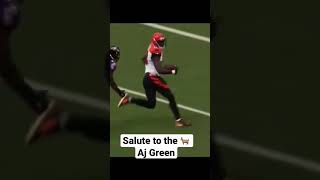 What a hell of a Career for AJ Green #bengals #nfl #shorts