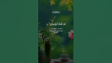 سورة المؤمنون... #القرآن_الكريم #الحمدلله #اكسبلور #الراحة_النفسية #coran #لايك #قران #1million