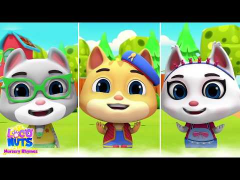 Loco Nuts 🍀 Eğlenceli Çizgi Film | Çocuklar İçin Kahkaha Dolu Macera! 🎉😂