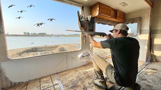 GOOSE HUNTING from a 40ft CAMPER BLIND! (IT WORKED)