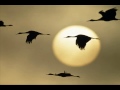 OST Sandglass - Zhuravli (Cranes) - Iosif Kobzon
