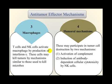 محاضرة علمية المرحلة الثالثة المناعة ضد السرطان الجزء2