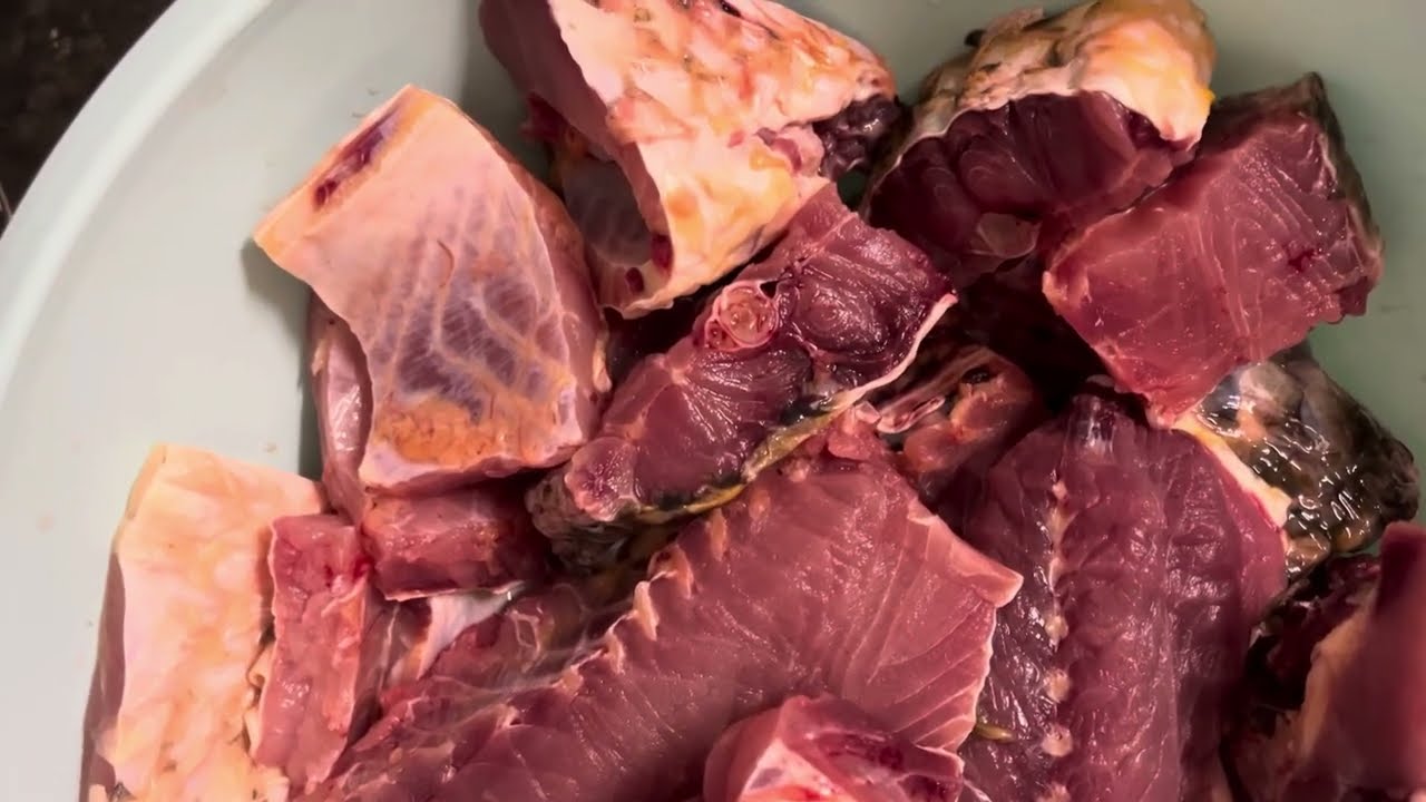 Freshwater Fish - Fresh and Cut into Curry Pieces. Red Flesh fish