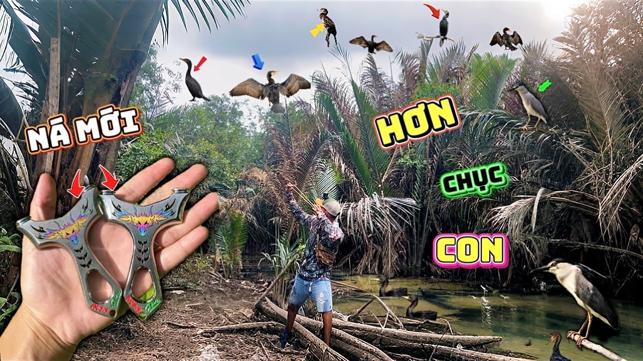 Cầm Ná AK77 Pro Săn Bầy Vịt Đen Khủng Hàng Trăm Con Rớt Như Mưa Về Đãi Cả Sớm || Trung Ku Nhí