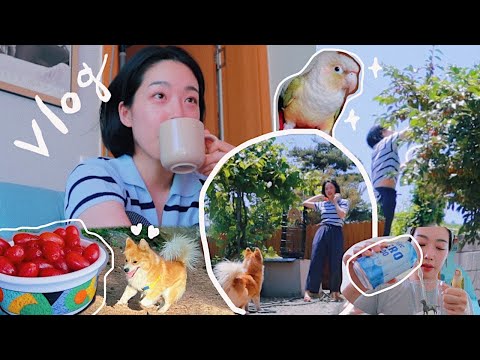 #204 English Vlog I 시골 일상 I 이불 빨래 I 카페 나들이 I 보리수 청 I <strong>무알콜</strong> <strong>맥주</strong> I 존맛 연어스테이크 I 김갈릭
