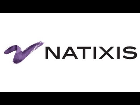 Natixis - Carte d'identité 2013