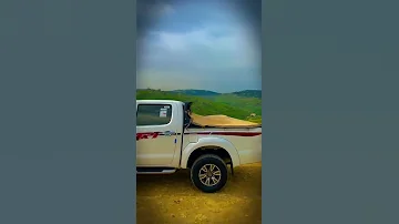 مو كل من جنا الطير صقار 
