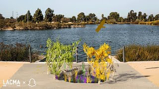 Monumental Perspectives (Collection II) | What the Willow Whispers by Sandra de la Loza