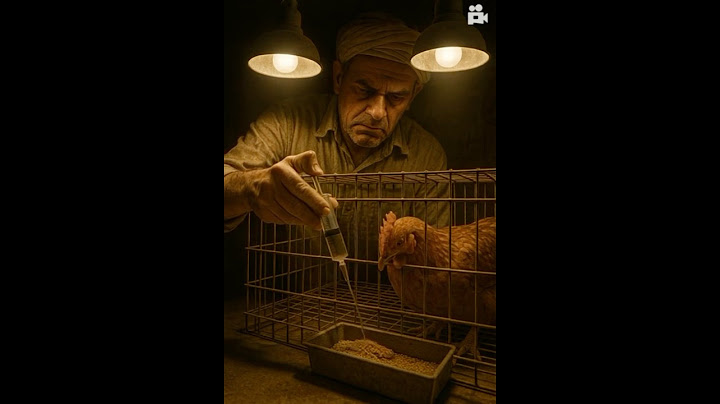 This Grandma's Hen Lays 3 EGGS... But What She Does Next SHOCKEDEveryone #shorts  #eggs #story#sad