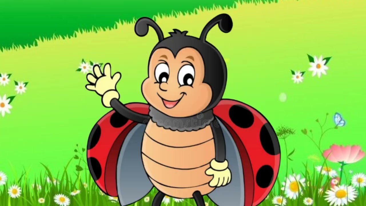 24 грудня 2025 р.