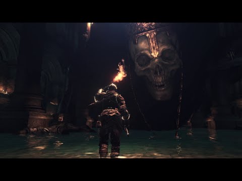 Video: Missioni NPC Di Dark Souls 3: Sconfiggere Il Sommo Lord Wolnir E Attraversare Il Ponte Irithyll