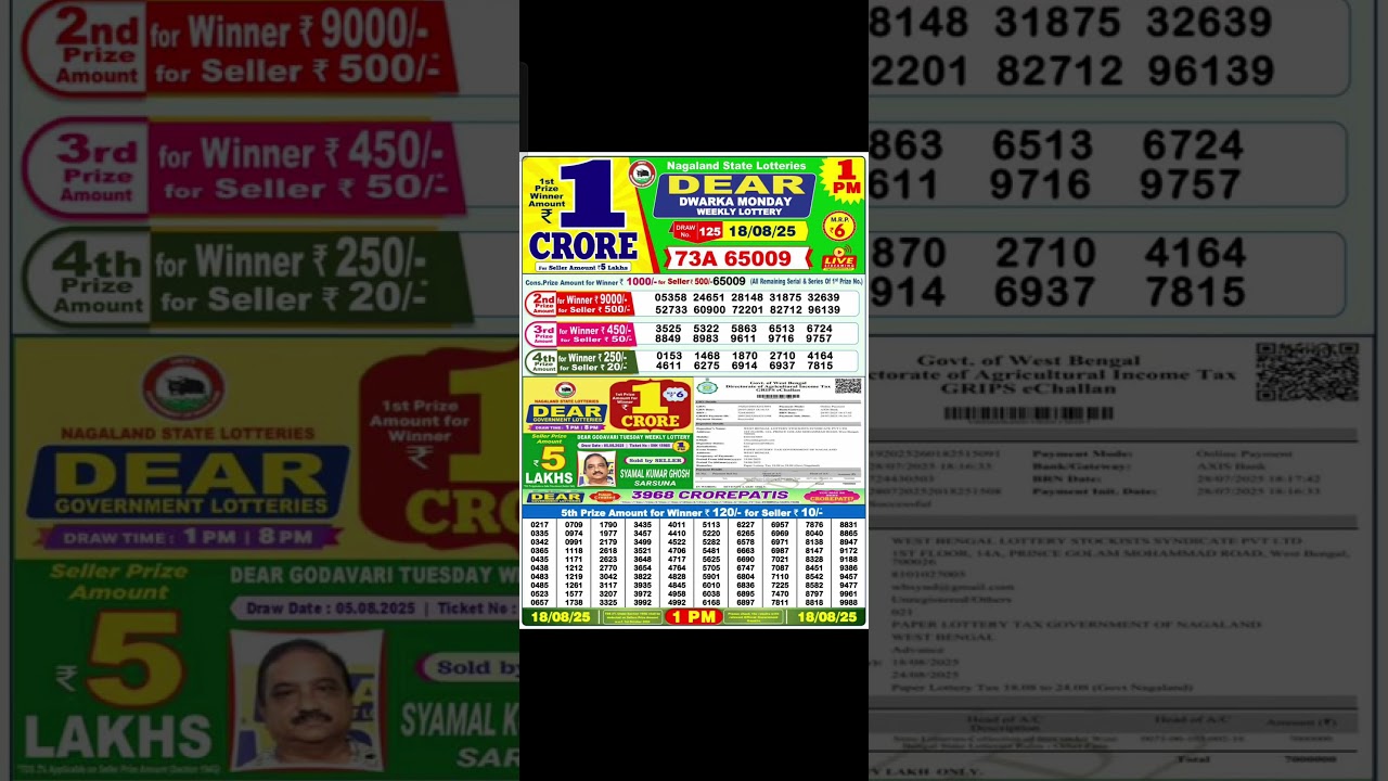 Nagaland State Lotteries result PDF  today 1pm 