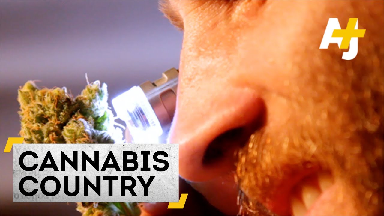 Cannabis Country – The Biggest Weed Grower In Uruguay | AJ+ Docs