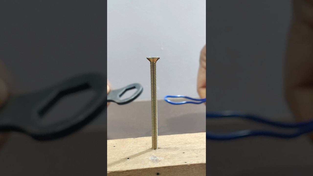 Genius Idea Revealed with a Secret Hidden Technique!! 