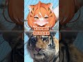 МЯЯУ #ruvtuber #vtuber #memes #anime #vtuberclips #юмор #banshameow #wtfmoments #аниме #витубер
