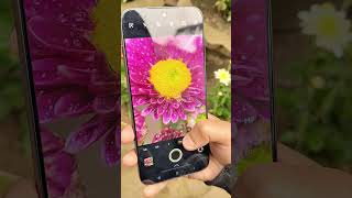 Vivo x300 pro macro photography! || #shorts #ytshorts #vivox300pro