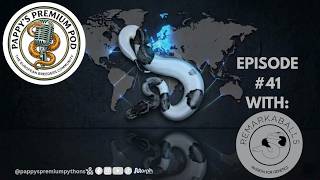 E41: Passion for Genetics – Remarkaballs from the Netherlands 🇳🇱🐍