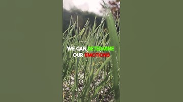 How to Reprogram Your Mind | Subconscious Mind | Limiting Beliefs