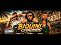 BIQUINI CAVADINHO   BREGA FUNK 2026