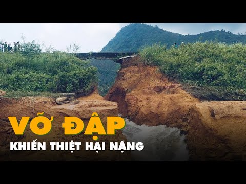 Video Vỡ đập thủy lợi ở Phú Thọ, hoa màu, ao cá thiệt hại... - youtube