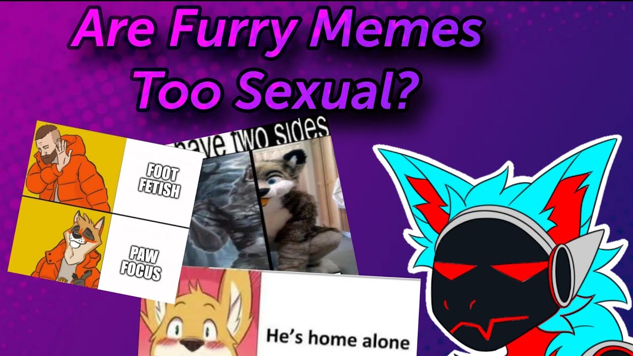 Are Furry memes Too Sexual?