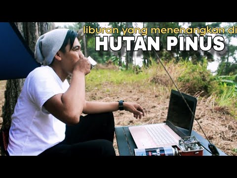 HUTAN PINUS || LIBURAN YANG MENENANGKAN || ALAM SAHABAT KITA