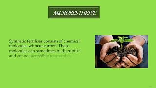 Advantages Of Organic Fertilizer - Grow Your Plants Organically