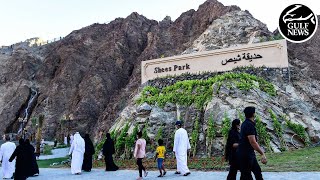 Exploring Shees Park in Khorfakkan, Sharjah: A recreational sanctuary for families and UAE residents