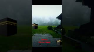 foggy day
