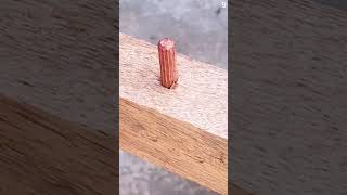 Proses Pemasangan Sekrup Dengan Rata Pada Kayu Menggunakan Cara Yang Cerdas shorts