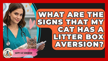 What Are the Signs That My Cat Has a Litter Box Aversion? | Happy Cat Handbook