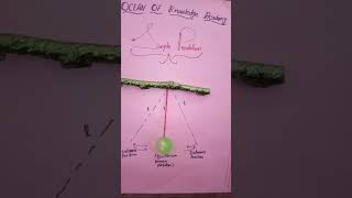 Motion of simple pendulum#physics #education #oceanofknowledge #matric#viralvideo