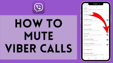How to Mute Viber Calls 2024 | Viber Calls Mute
