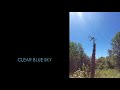 Clear Blue Sky