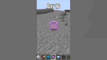 How To Get Ditto In Cobblemon! 100 Days of Cobblemon Questions (Day 16) #cobblemon #shorts