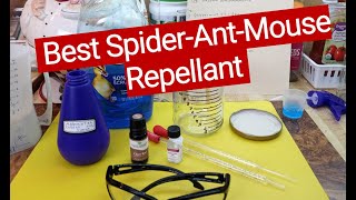 Best Homemade Spider, Ant &amp; Mouse Repellant